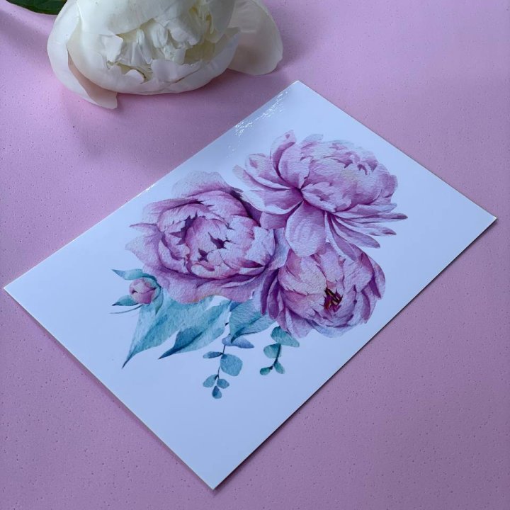 Открытка к букету "Пионы" в Саратове