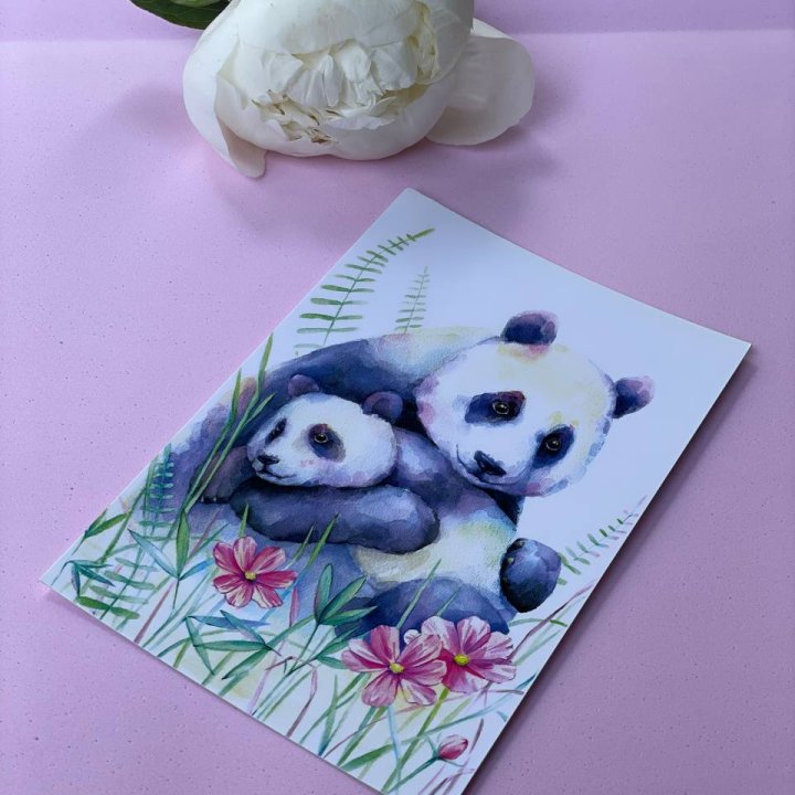 Открытка к букету "Объятие Панды" в Саратове