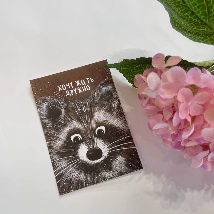 Открытка к букету "Енотик" в Саратове