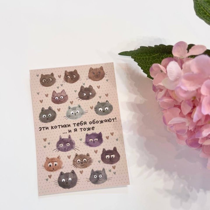 Открытка к букету "Котики" в Саратове