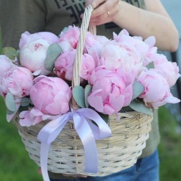 15 пионов в корзине в Саратове