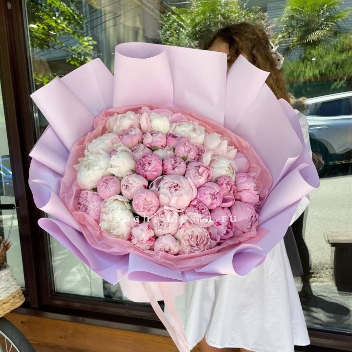 51 розовый пион в Саратове