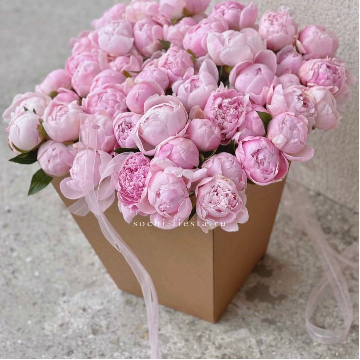 49 пионов в крафт коробке в Саратове