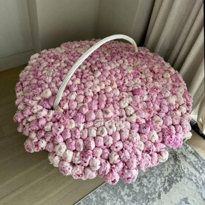 Корзина 555 пионов в Саратове