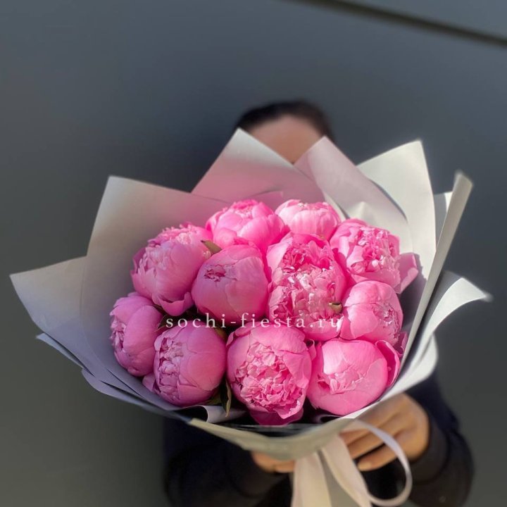 Пионы Алекс флеминг в Саратове