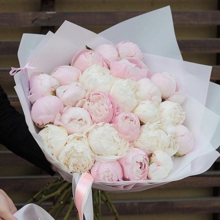 29 пионов в Саратове