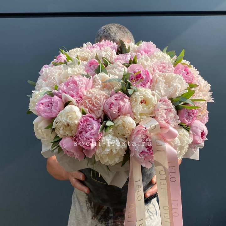 51 пионов в боксе в Саратове