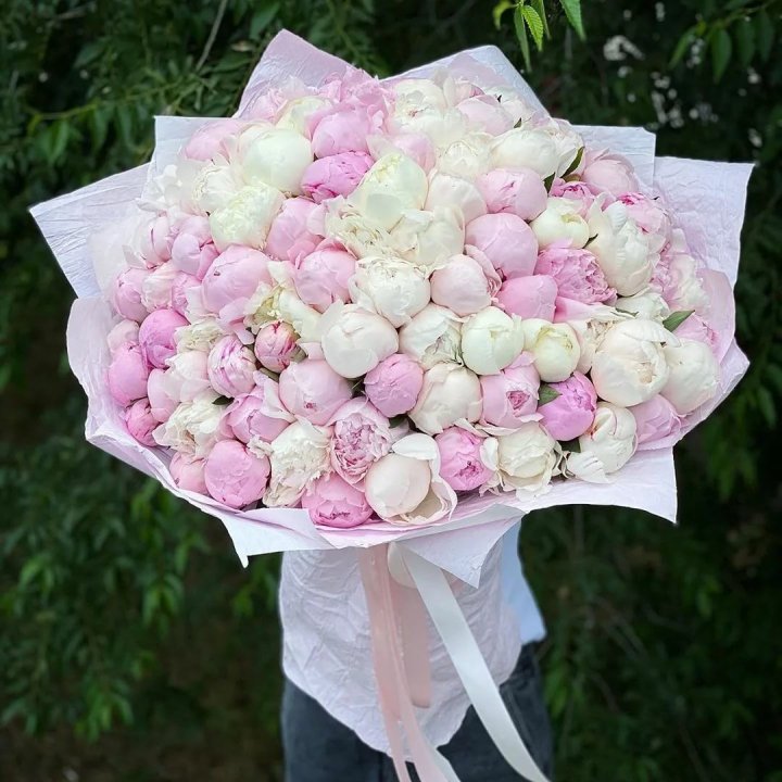 101 пион в Саратове