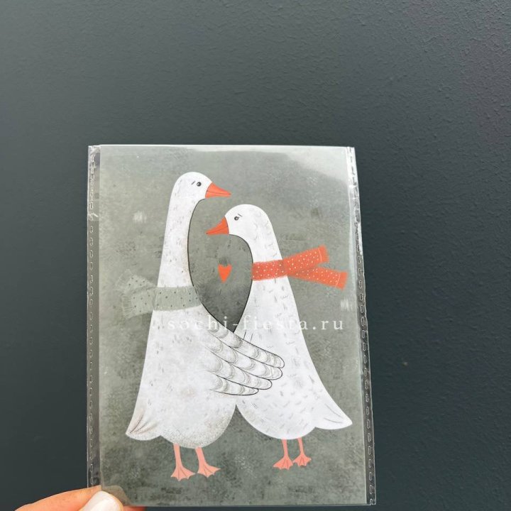 Открытка к букету "Гуси” в Саратове