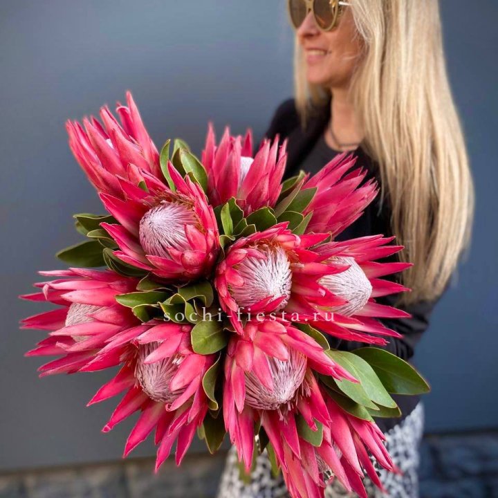 Протея штучно в Саратове