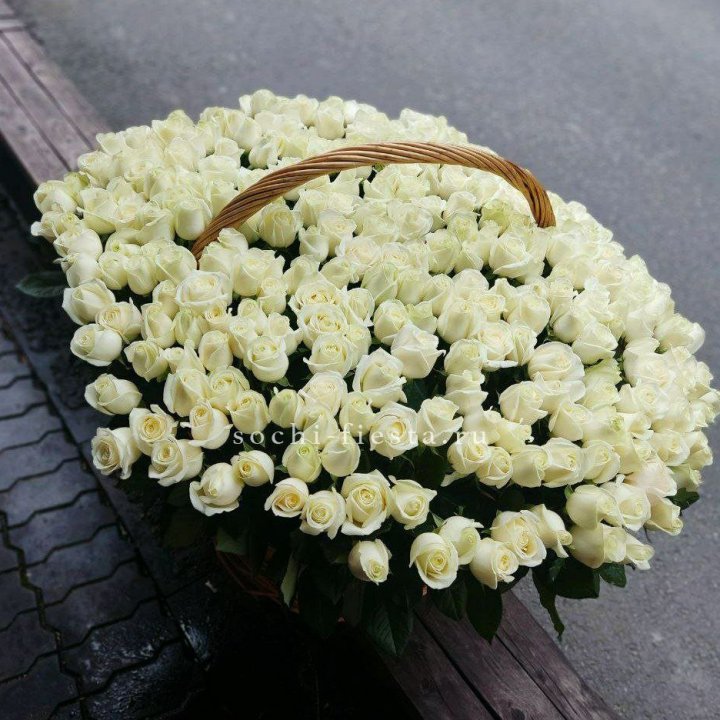 303 розы в корзине в Саратове