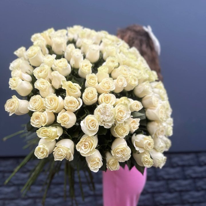 101 белая высокая импортная роза под ленту в Саратове