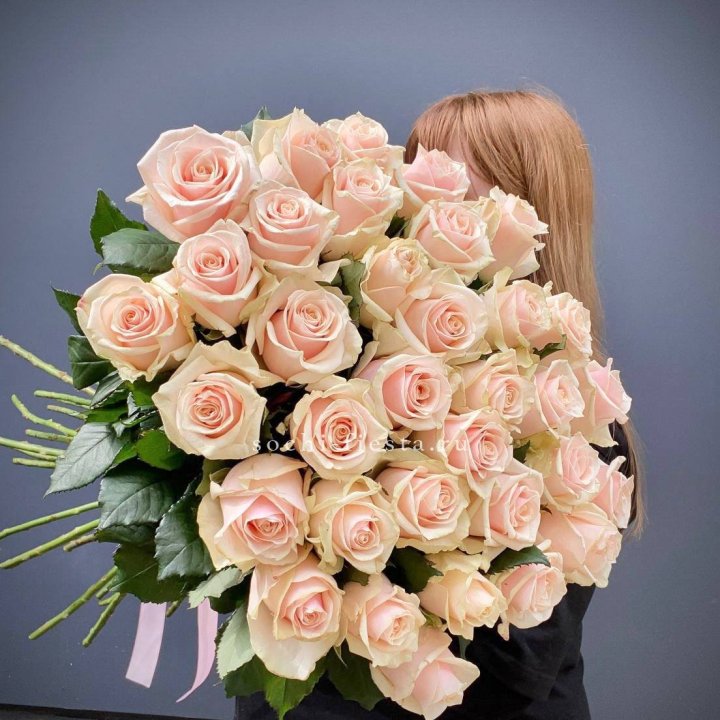 35 кремовых высоких роз в Саратове