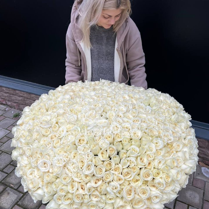 501 белая роза в корзине в Саратове