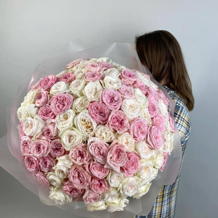 101 роз Охара в Саратове