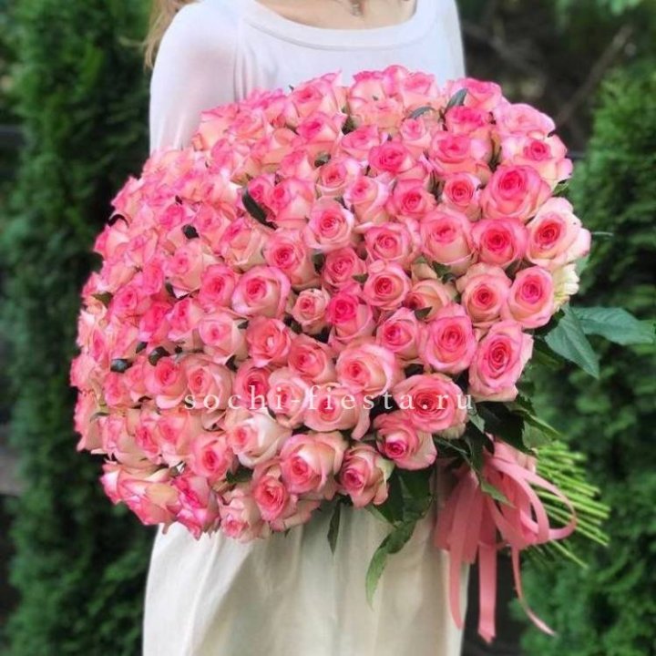 101  джумилия роза  в Саратове