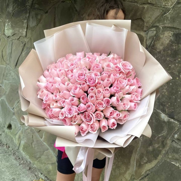 101 нежно-розовая роза Каролина  в Саратове