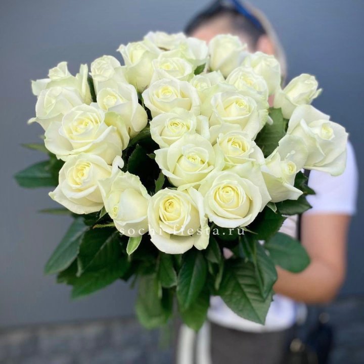 Голландские розы белые 25 в Саратове