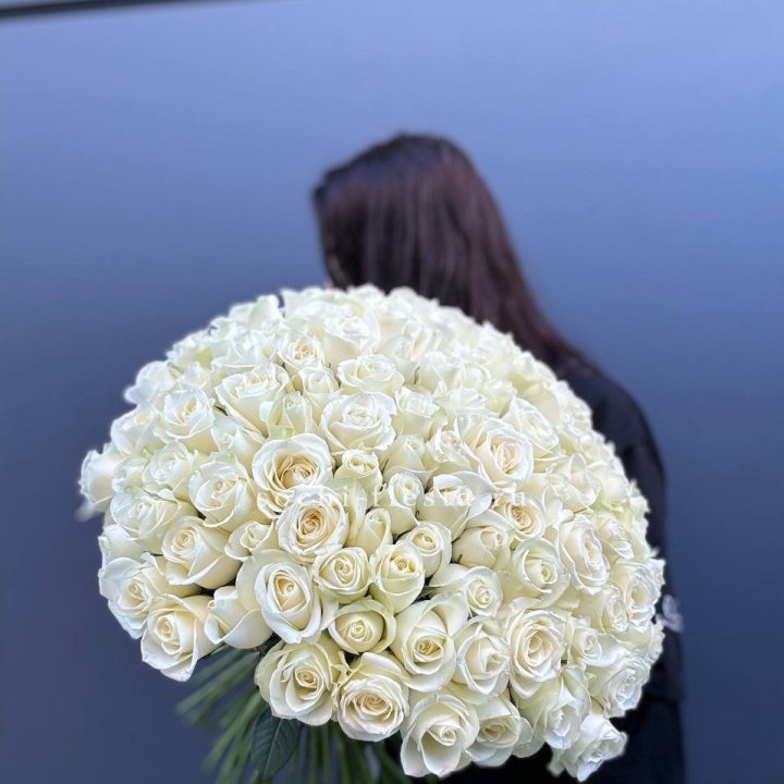 Охапка из 101 белой розы  в Саратове