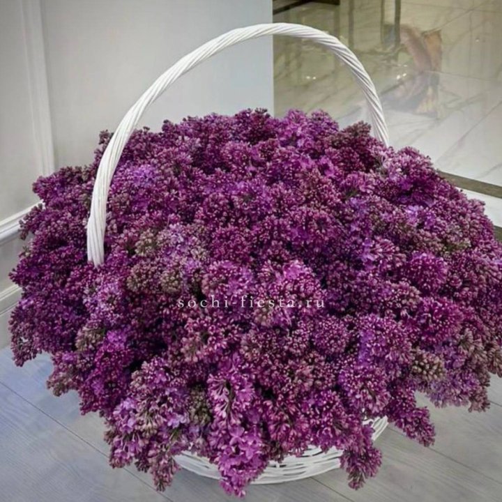 Корзина сирени в Саратове