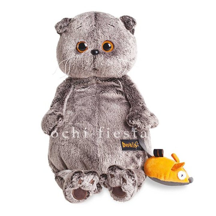 Кот Басик с мышкой в Саратове