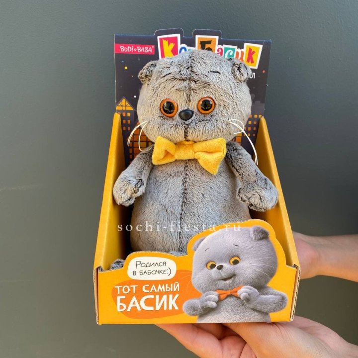 Кот Басик с бабочкой в Саратове