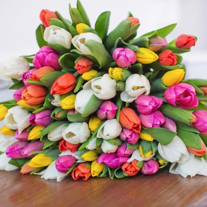 79 тюльпанов "Рандом" в Саратове