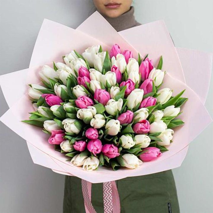 61 бело-розовый тюльпан в Саратове