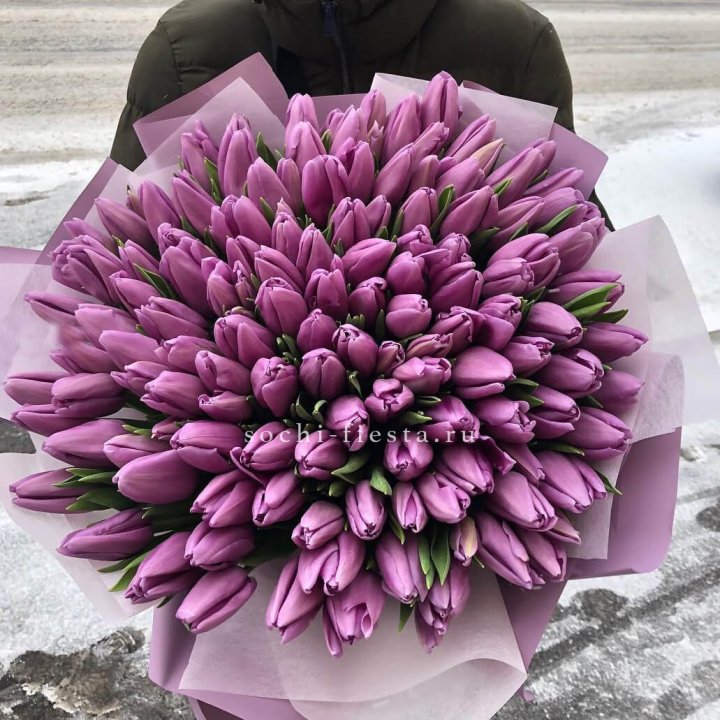 101 сиреневый тюльпан в Саратове