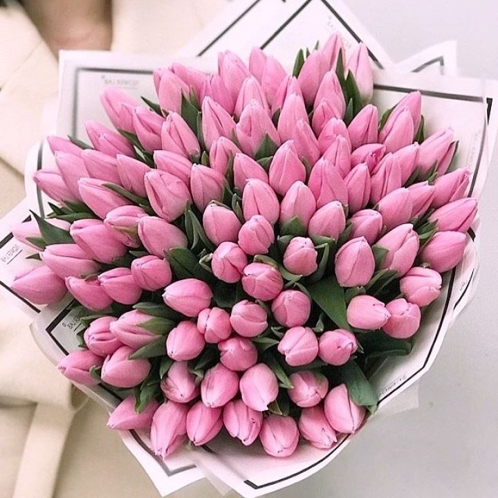 101 розовый тюльпан в белом в Саратове
