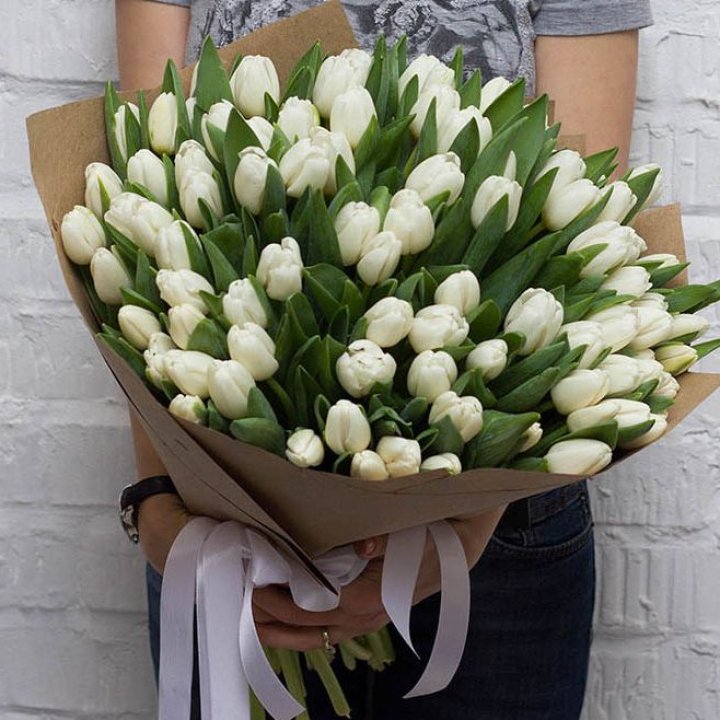 101 тюльпан сноу в Саратове