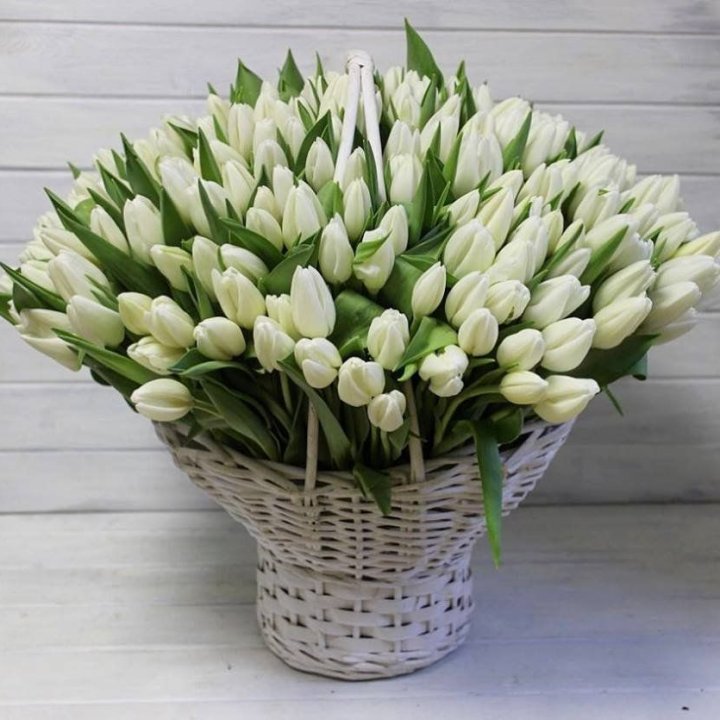 Корзина из 151 тюльпана в Саратове
