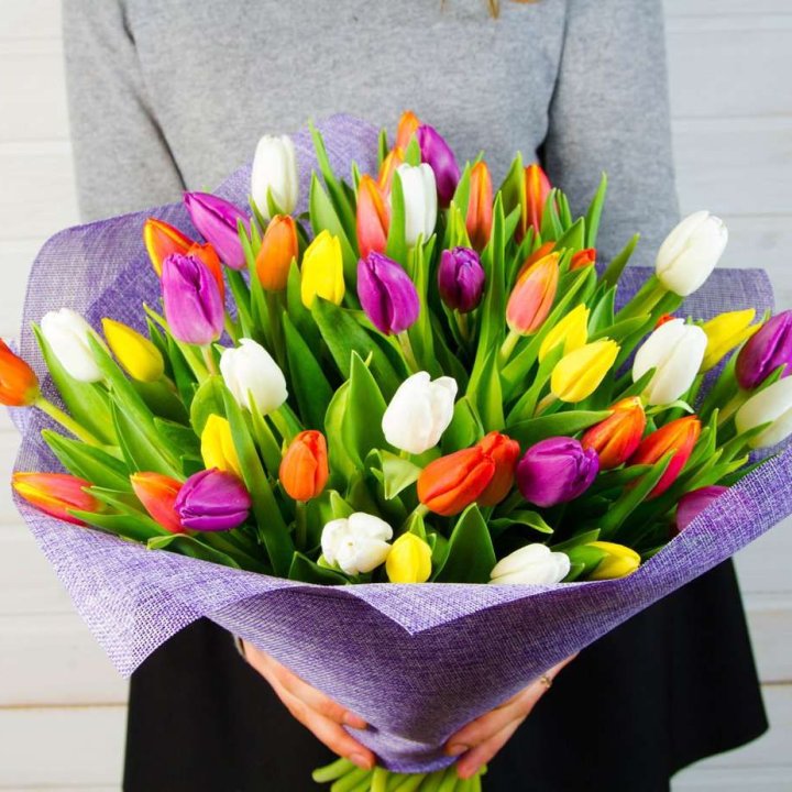 51 тюльпан "Рандом" №2 в Саратове